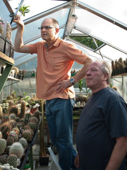  Kakteenhock bei Meier 2011
